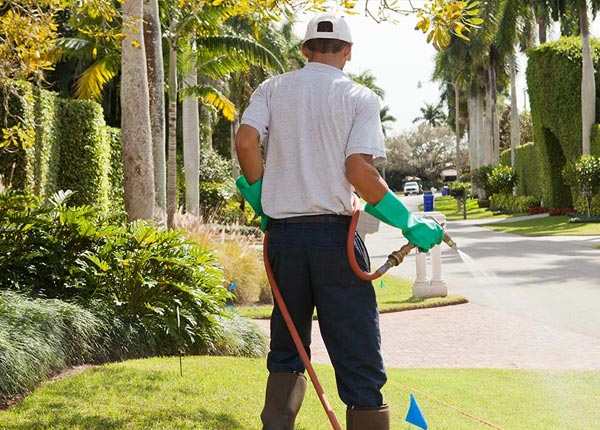 About Malvern PA Pest Control Pros